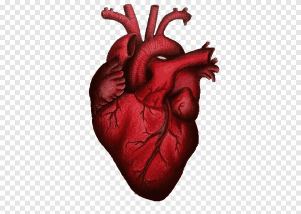 Сердечки (желтые)