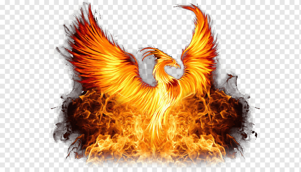 Птица Феникс