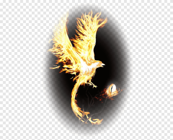 Феникс на прозрачном фоне