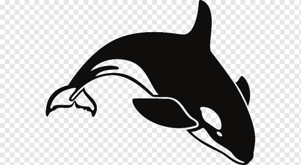 Касатка силуэт