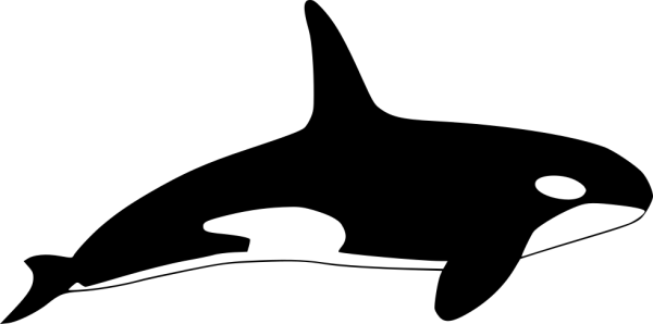 Трафарет касатки для рисования