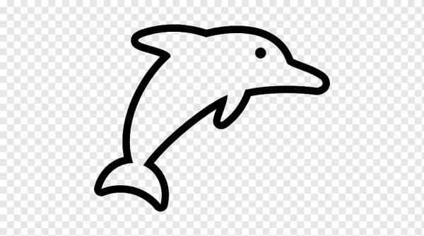 Дельфин схематично