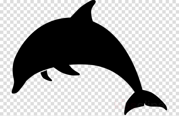 Силуэт дельфина