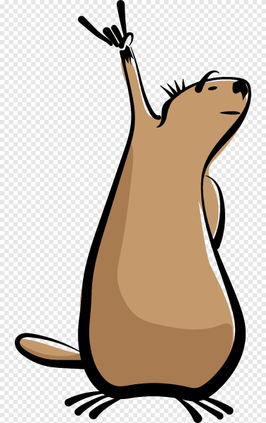 Смешной сурок рисунок