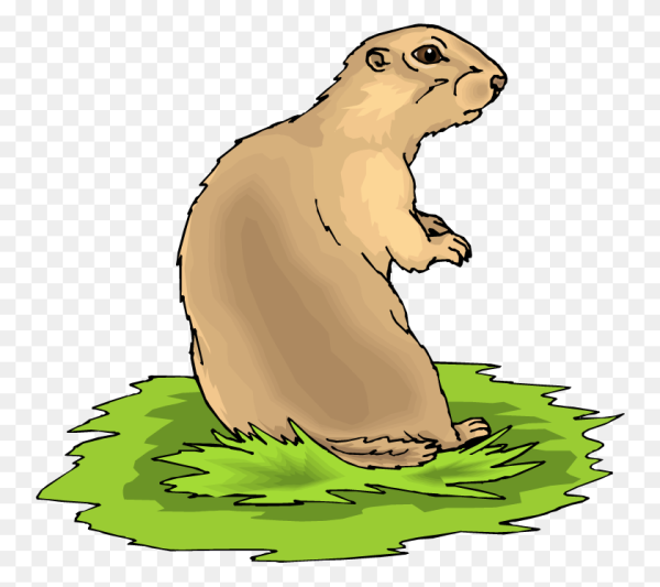 Сурок мультяшный