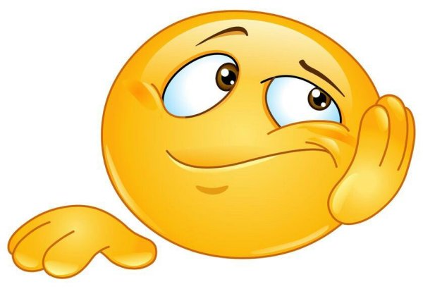 Смайлик шофер