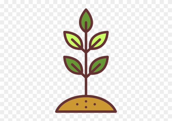 Росток дерева вектор