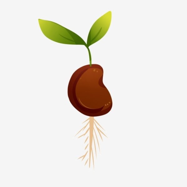 Семена иллюстрация