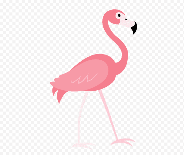 Розовый цвет Фламинго на белом фоне