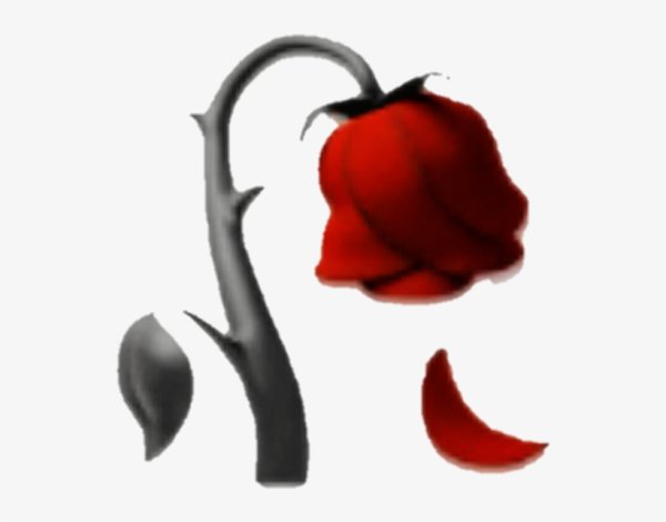 Вялая роза смайлик