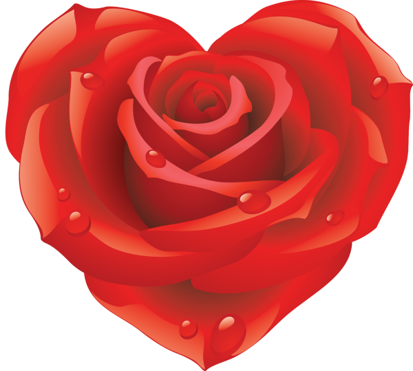 Розы в сердце