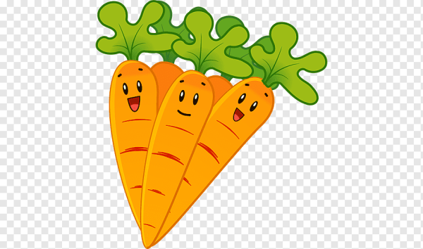 Морковь картинка для детей