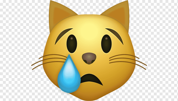 Плачущий кот смайлик