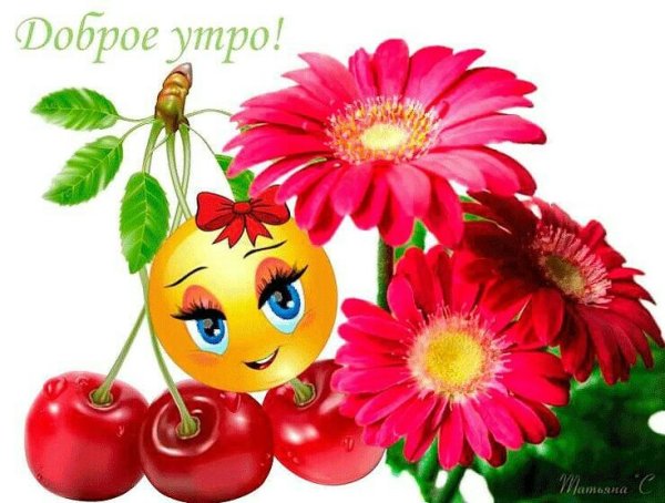 Улыбнитесь новому Дню