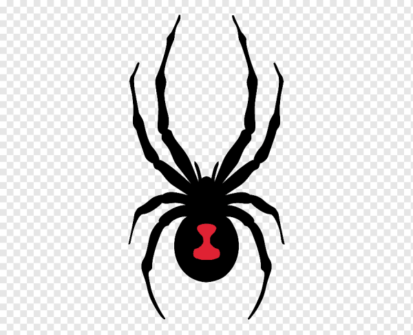 Паук логотип