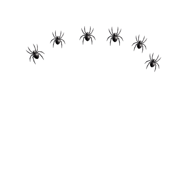 Маленький паучок на белом фоне