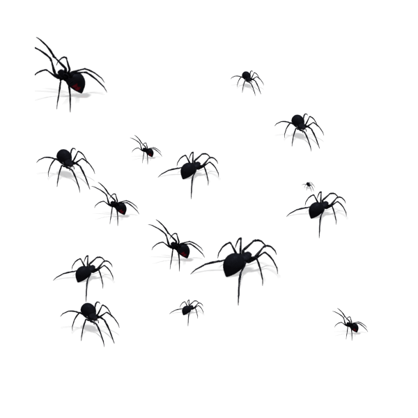 Много маленьких паучков