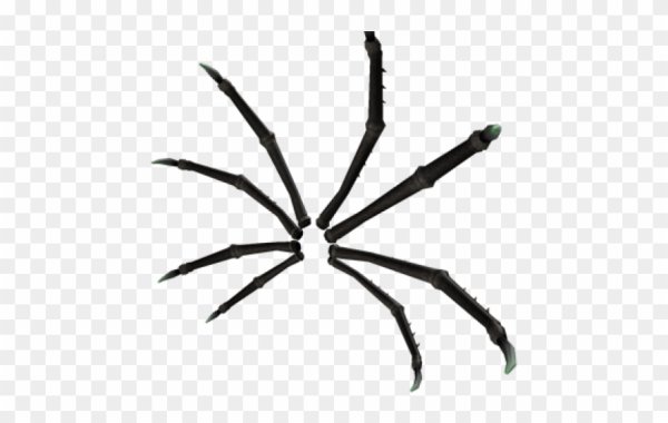 Паук без фона