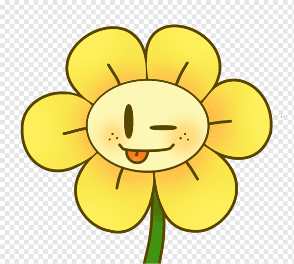 Флауи и подсолнух