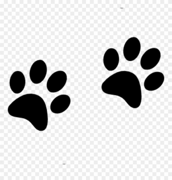 Отпечаток лапки кота