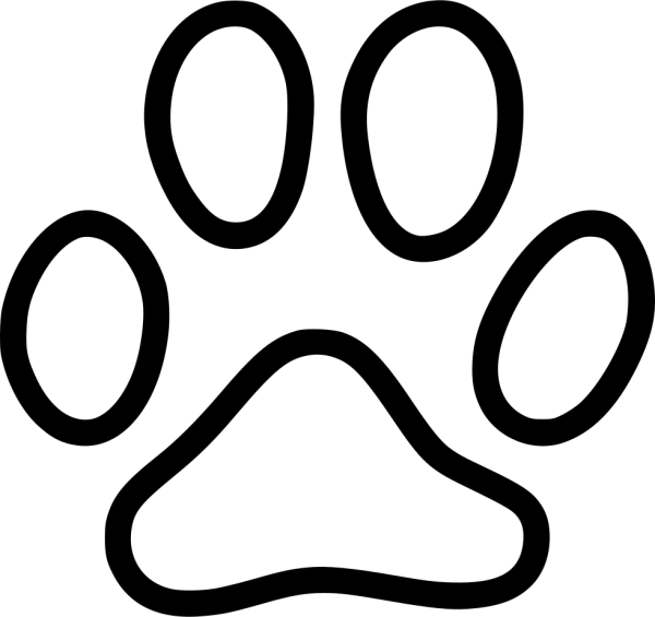 Кошачьи следы