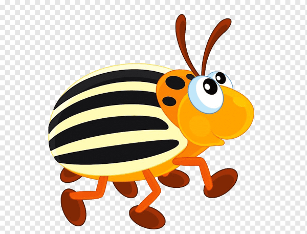 Колорадские жуки мультяшные