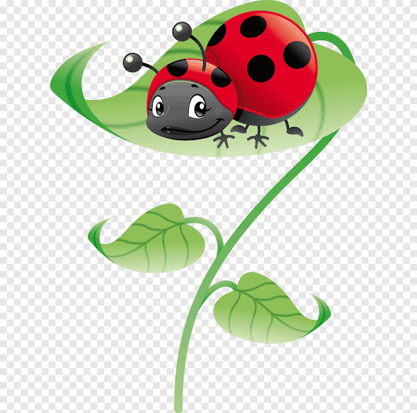 Песня добрый Жук