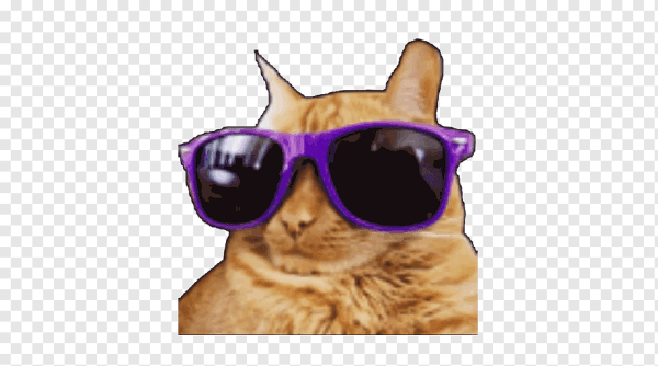 Смайл кот в очках