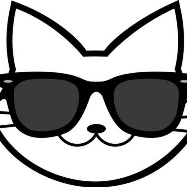 Кот в очках рисунок