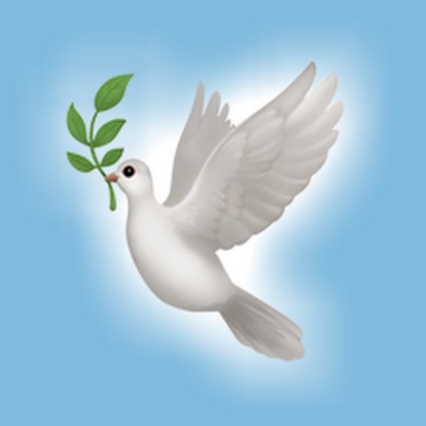 Голубь с веточкой