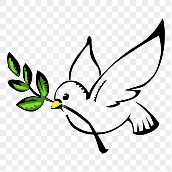 Голубь с оливковой веточкой