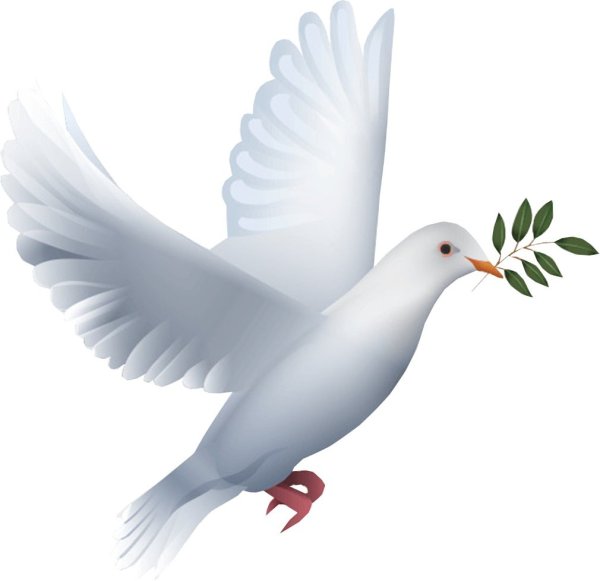 Голубь мира на прозрачном фоне