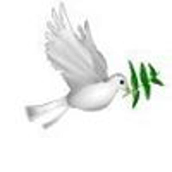 Анимированные голуби