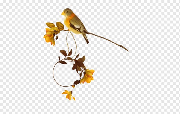 Птичка на веточке