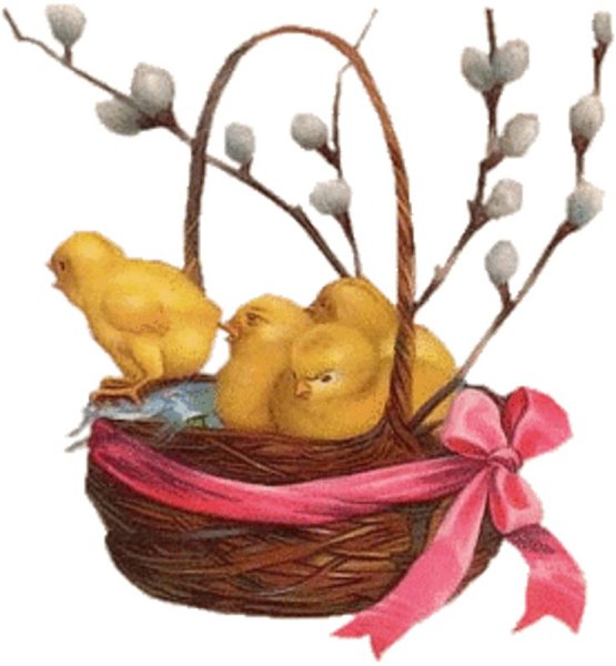 Верба в корзинке