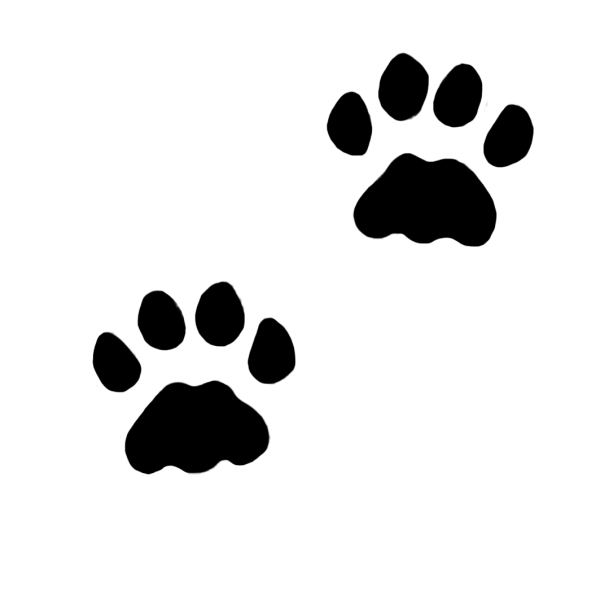 Отпечаток кошачьей лапки