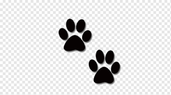 Кошачьи лапки черно белые