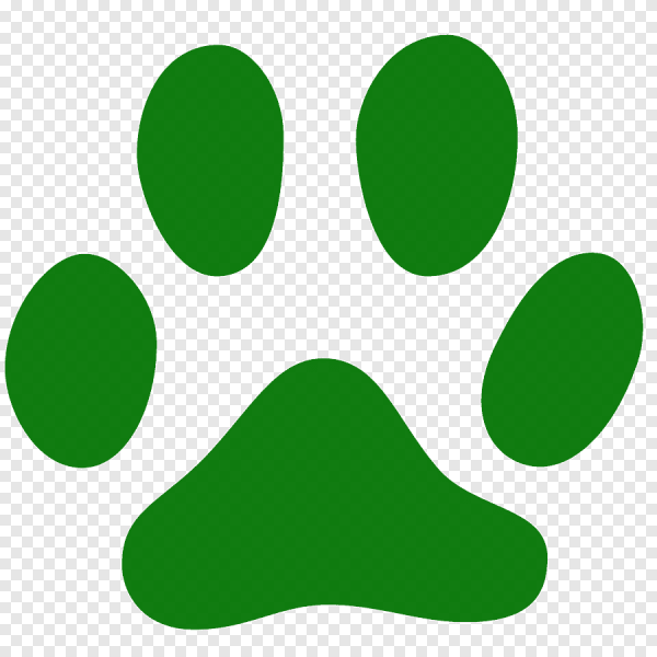 Лапки собаки без фона