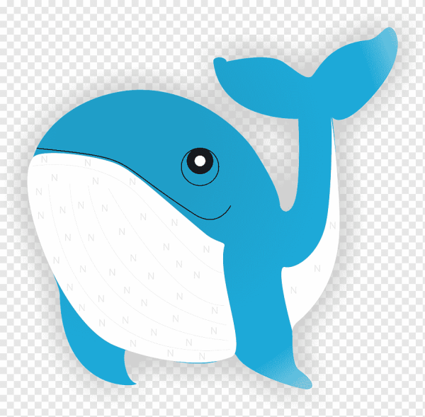 Кит и рыбки