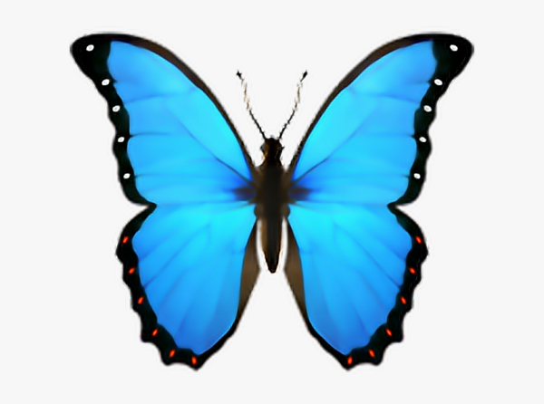 Бабочка смайлик айфон