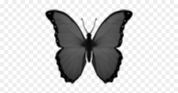 Игра белый фон с черной бабочкой