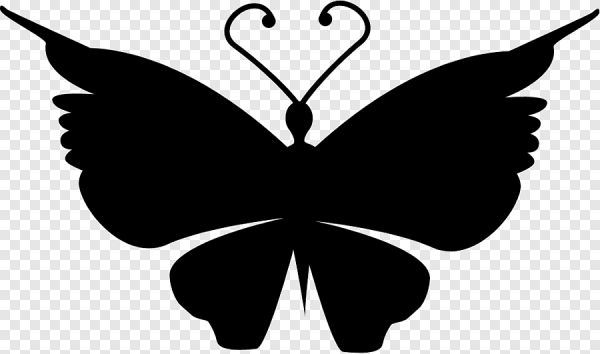 Силуэты бабочек для рисования черные