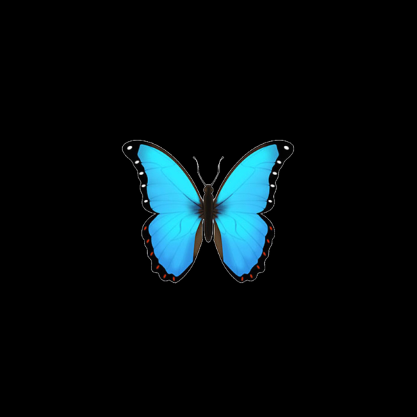 Синяя бабочка смайлик