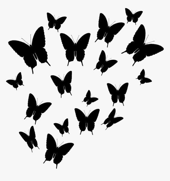 Черные бабочки на белом фоне