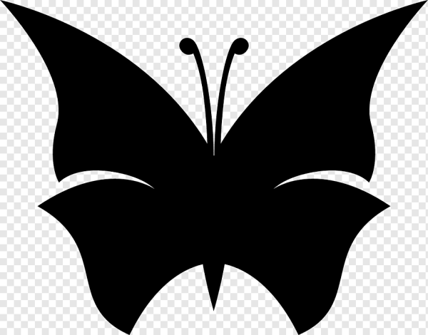 Бабочки для фотошопа