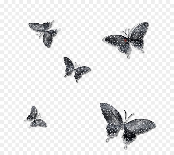 Черные бабочки на прозрачном фоне