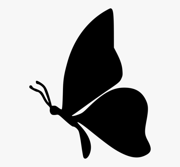 Силуэт бабочка для детей