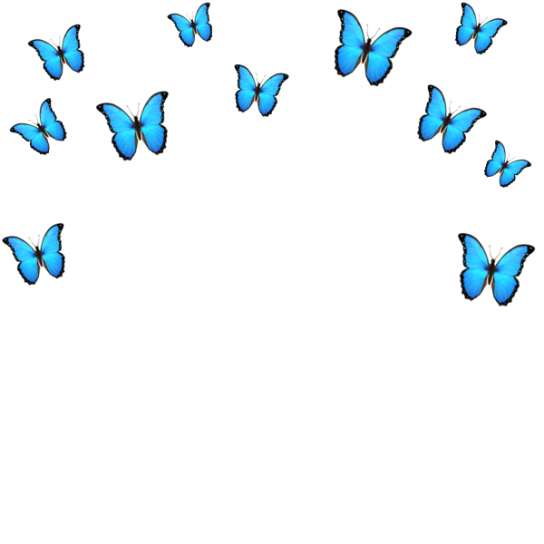 Бабочки над головой