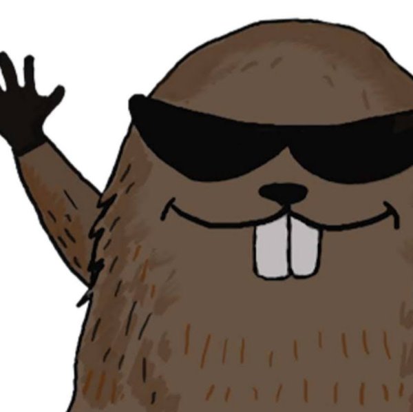 Бобер в очках