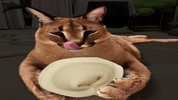 Ребенок ест пельмени рисунок